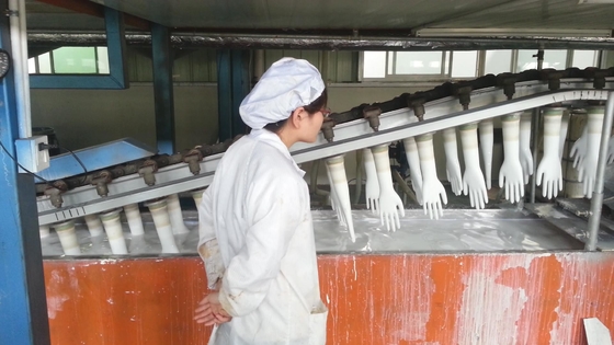 Μηχανή κατασκευής γάντι από νιτρίτη 100KW Επαναστατική διαδικασία κατασκευής