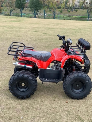 ΑΤΒ 4 τροχών Beach Buggy 4X4 1000cc